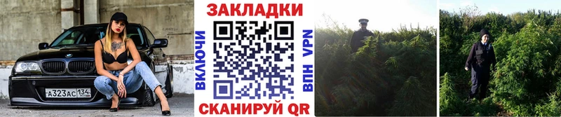 Магазины продажи наркотиков Карпинск Амфетамин  ТГК  Мефедрон  Конопля  ГАШ  СК  Cocaine 