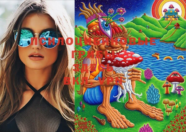 ПСИЛОЦИБИНОВЫЕ ГРИБЫ Сясьстрой