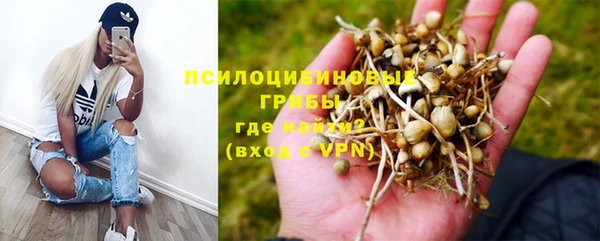 МДМА Бородино